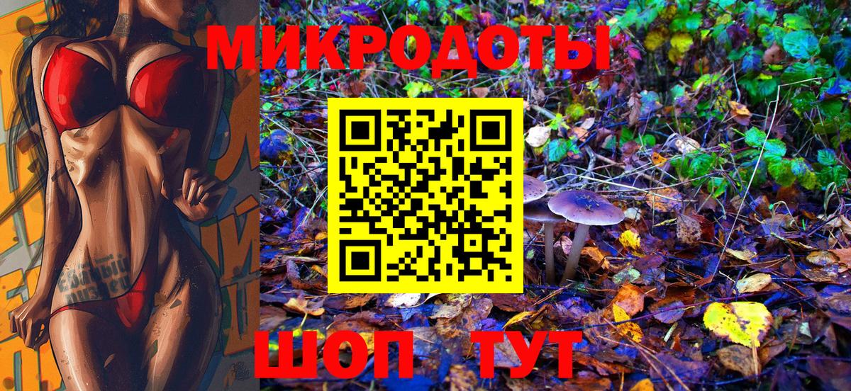 Псилоцибиновые грибы Psilocybine cubensis Карачаевск