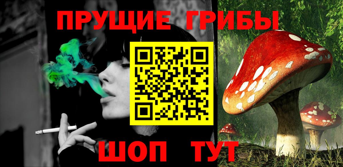 Карачаевск  Псилоцибиновые грибы мицелий  Вход с VPN 